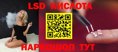 стафф Можга