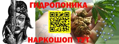 стафф Можга