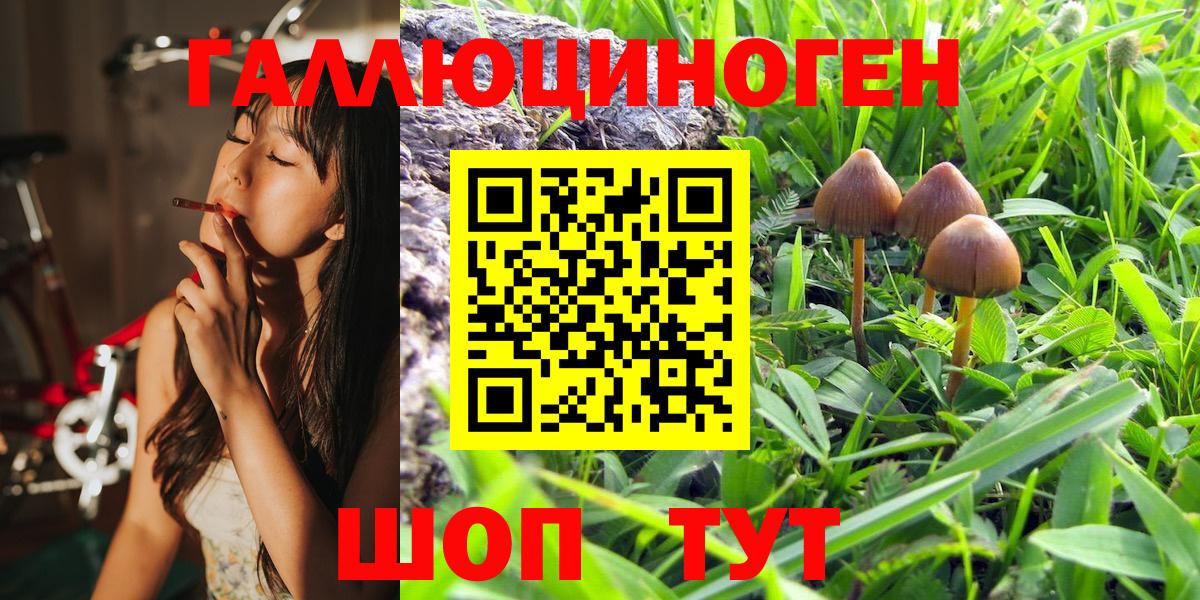 Верхний Уфалей  Галлюциногенные грибы ЛСД  Псилоцибиновые грибы Psilocybe  Вход с VPN 