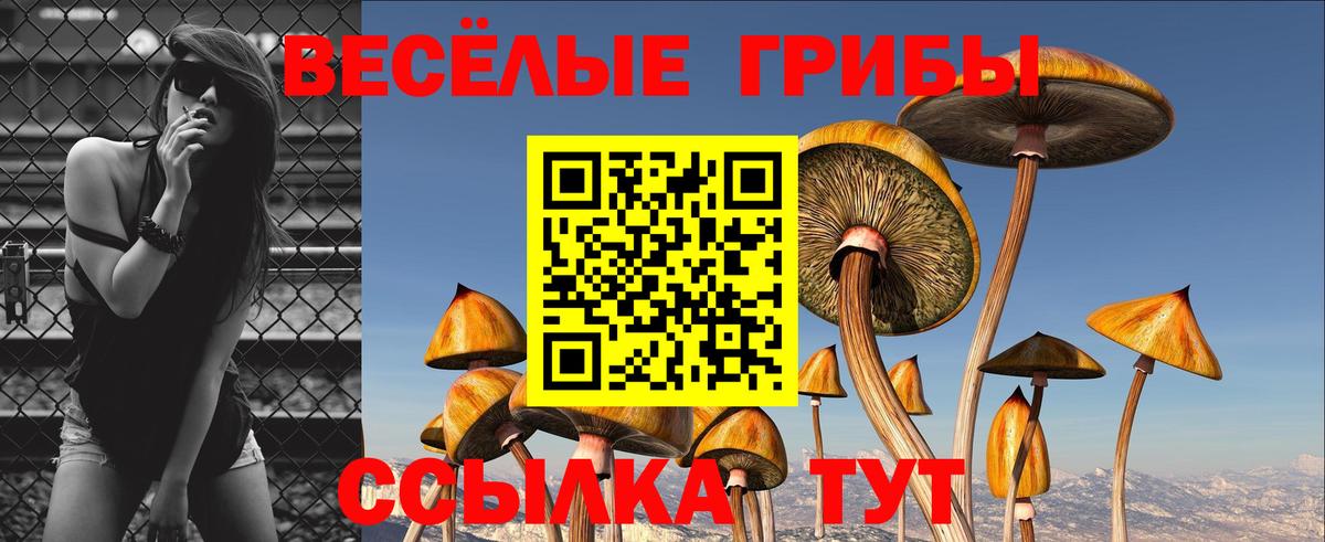 Галлюциногенные грибы GOLDEN TEACHER Верхний Уфалей